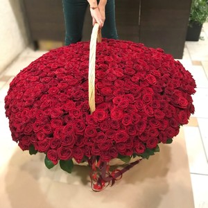 Букет 501 красная роза в корзине