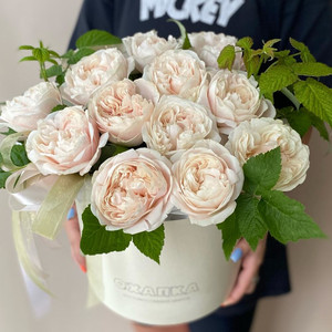 Букет 15 светлых пионовидных роз в коробке
